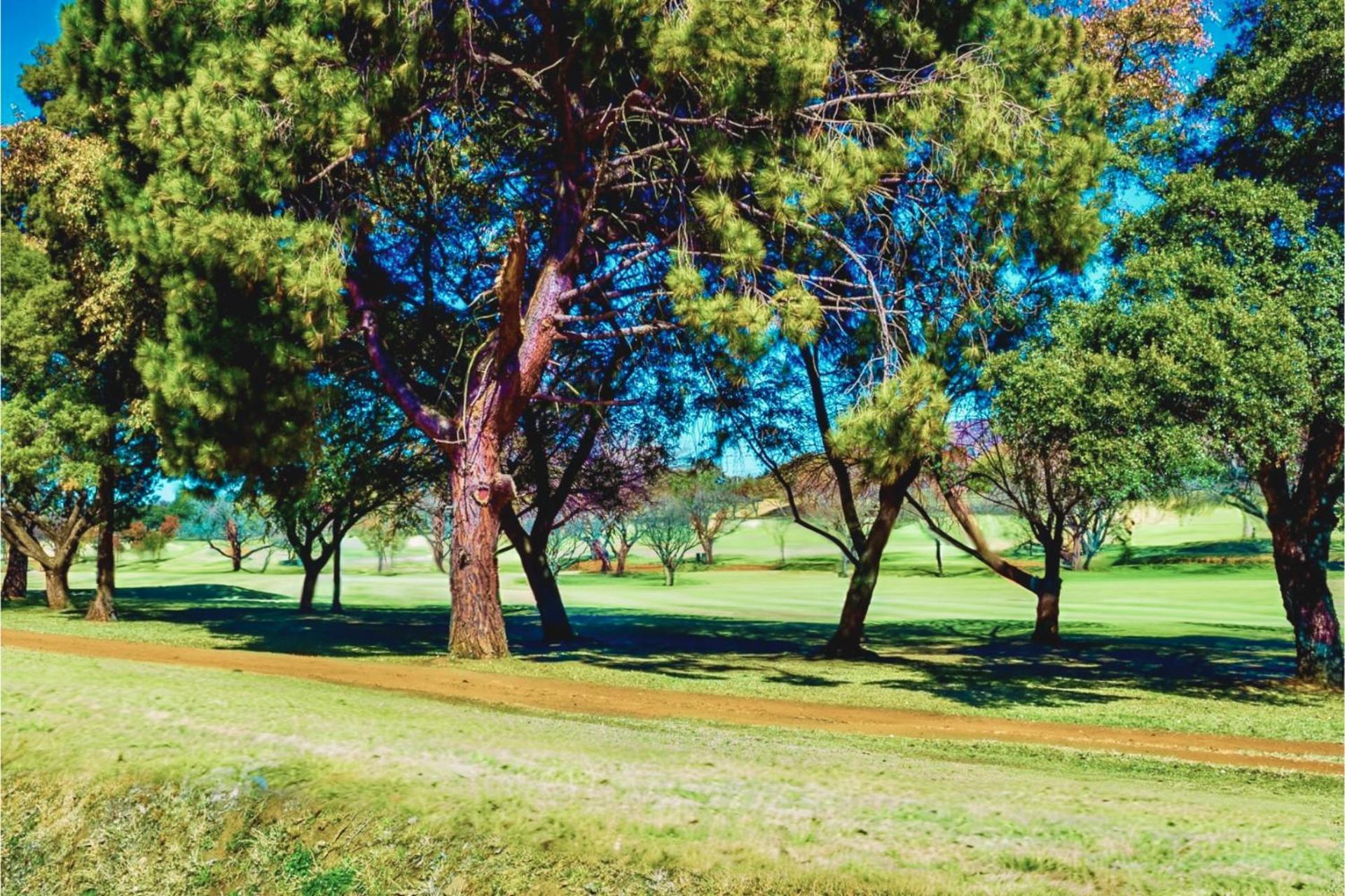 Glendower View Guest House Edenvale Exteriör bild