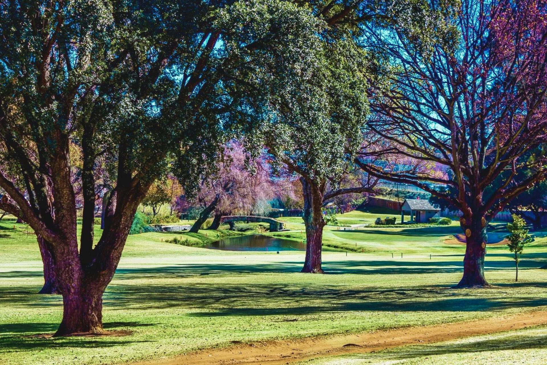 Glendower View Guest House Edenvale Exteriör bild